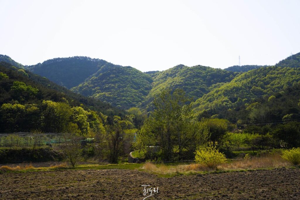 경주맛집 - 야외에서 솥뚜껑 바베큐 고깃집 '암행어사농원' 분위기에 취하지만 맛은 soso 사진 5