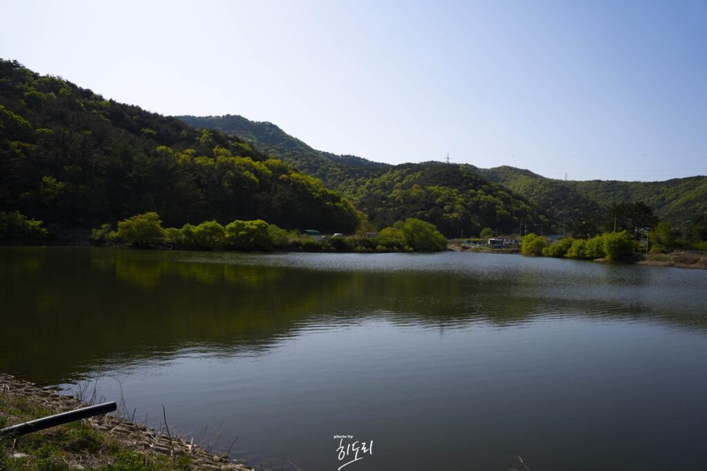 경주맛집 - 야외에서 솥뚜껑 바베큐 고깃집 '암행어사농원' 분위기에 취하지만 맛은 soso 사진 10