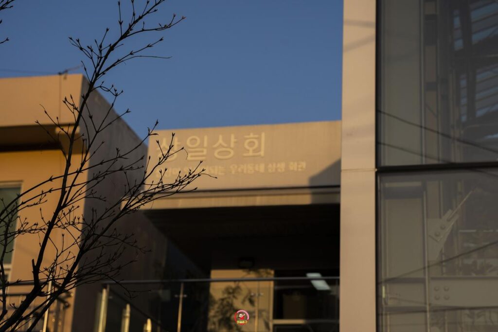 전시부터 브런치카페 그리고 도심형정원까지! 울산 중구 '상일상회' 사진 2