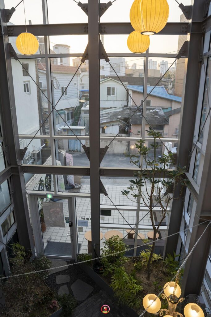 전시부터 브런치카페 그리고 도심형정원까지! 울산 중구 '상일상회' 사진 9