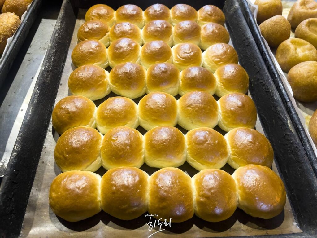 울산맛집 노포 고깃집 울산 병영 '갈메기구이' 사진 20