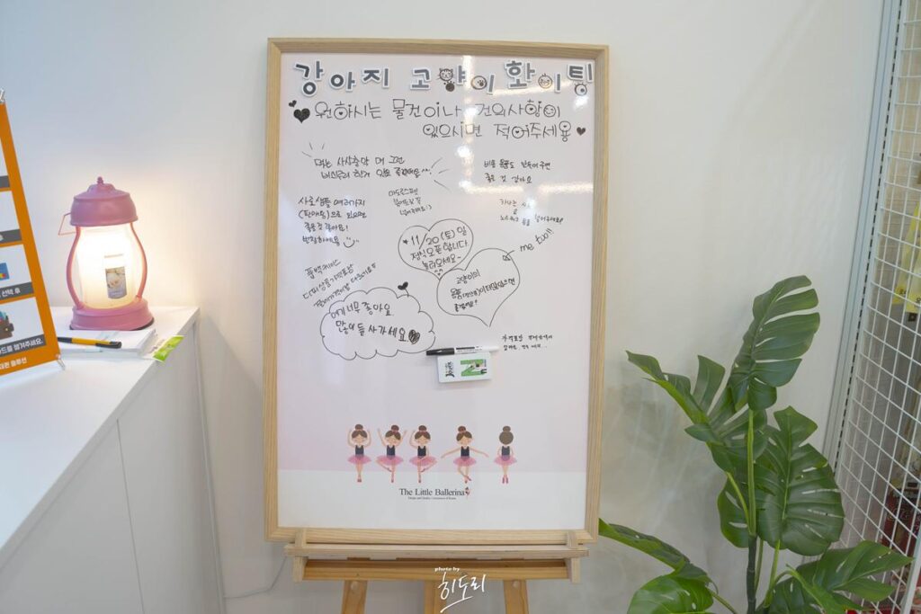 울산 중구점! 강아지 고양이 편의점 24시 무인 키오스크! 부담없는 가격! 부담없는 쇼핑 사진 6