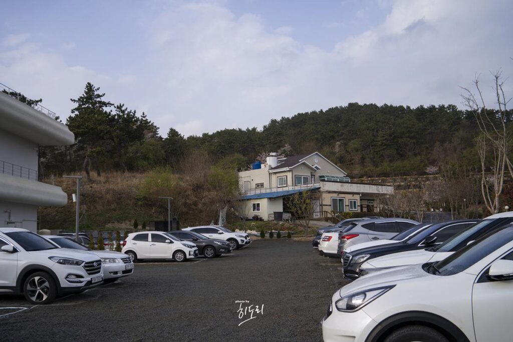 요즘 울산 핫플 나사리 해수욕장 대형카페 AOP카페 힐링명소 사진 3