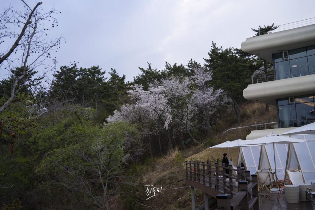 요즘 울산 핫플 나사리 해수욕장 대형카페 AOP카페 힐링명소 사진 34