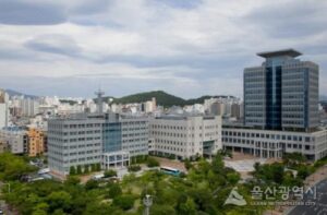 2026 울산 펫 페스티벌｜10월 31일~11월 1일 태화강 국가정원 남구 둔치, 댕댕달리기·멍때리기 대회·김명철 수의사 강연