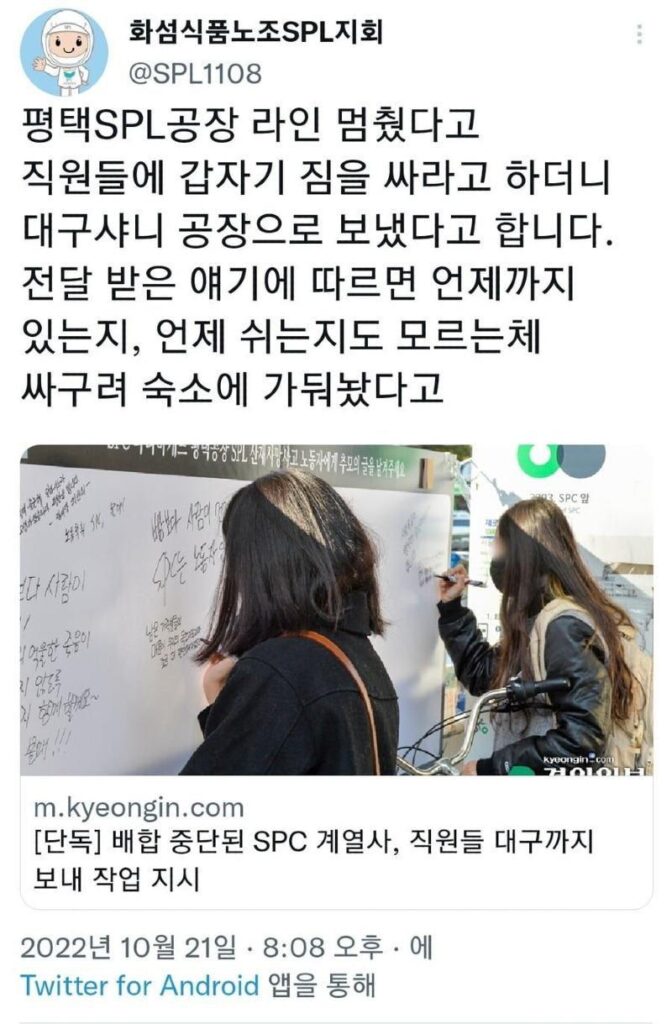 SPC 불매 - 울산 개인빵집을 찾아서 첫번째 '평화양과점' 사진 6