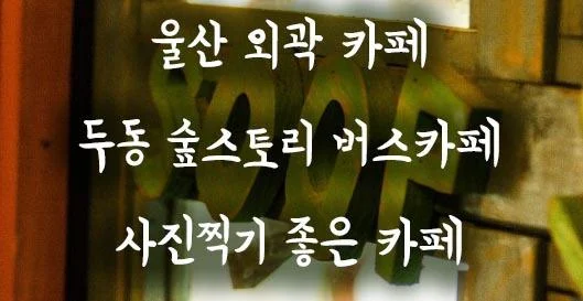 숲카페_-000.webp