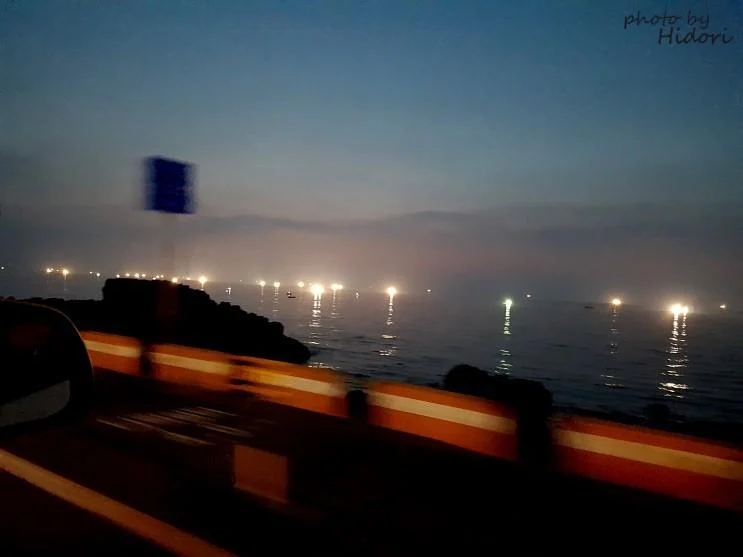제주3-4_-001.webp